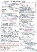 Ecosystem.pdf